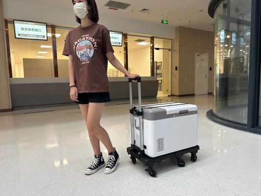 -86C Degree 25L Mini Medical Freezer for Vaccine Transport Portable and High Capacity
